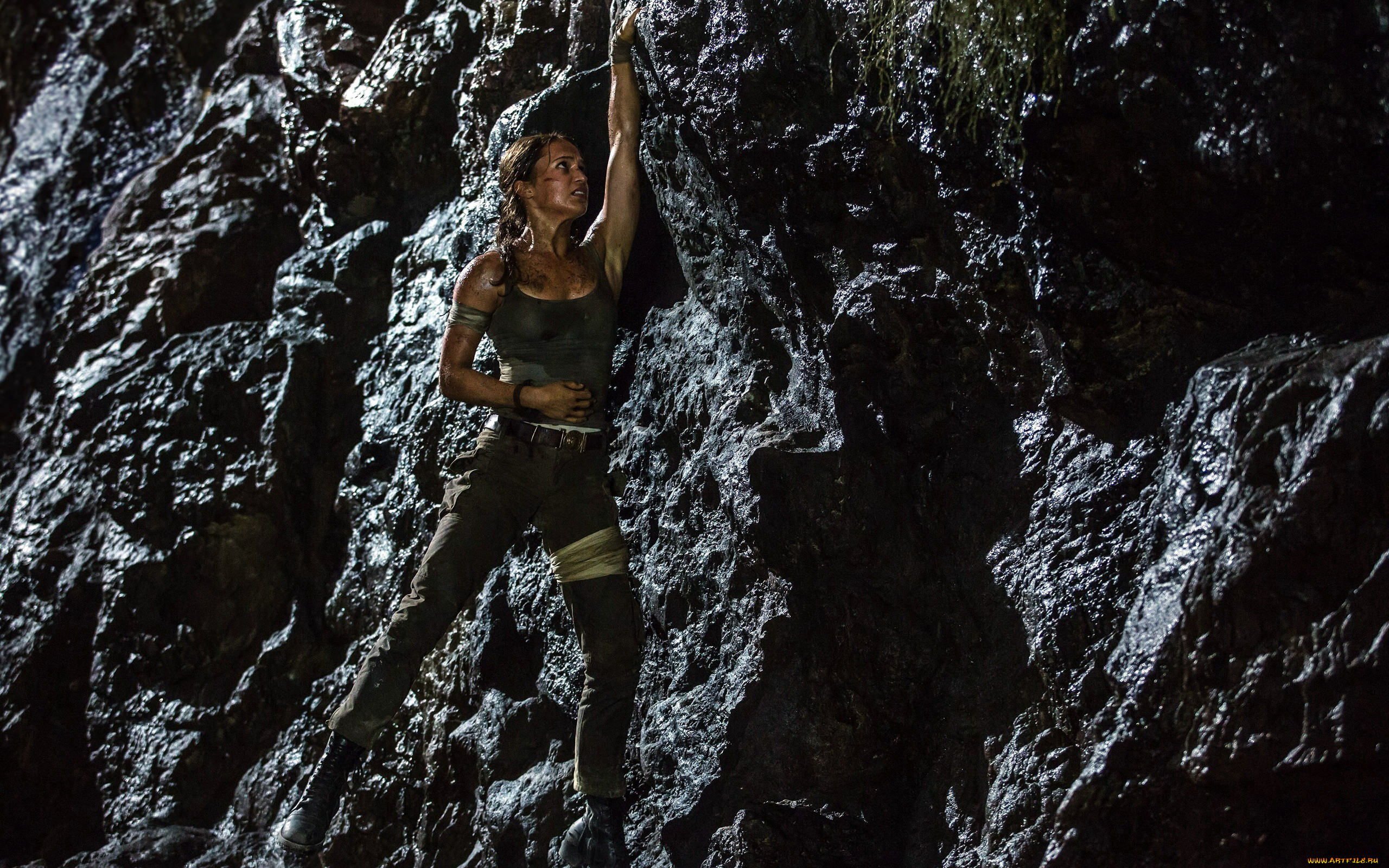  , tomb raider , 2018, 